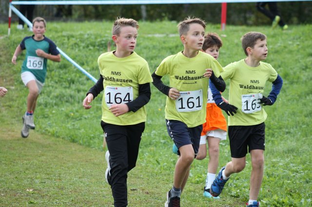 CrossCountryBezirksmeisterschaft_2024